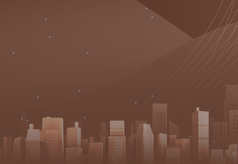 Ƥ����ҵ������ҵר��